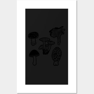 Mushrooms Posters and Art